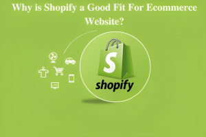 Why is Shopify a Good Fit For Ecommerce Website?