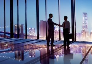 Qualities to Look for When Choosing a Business Partner